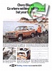 Chevrolet 1973 4.jpg